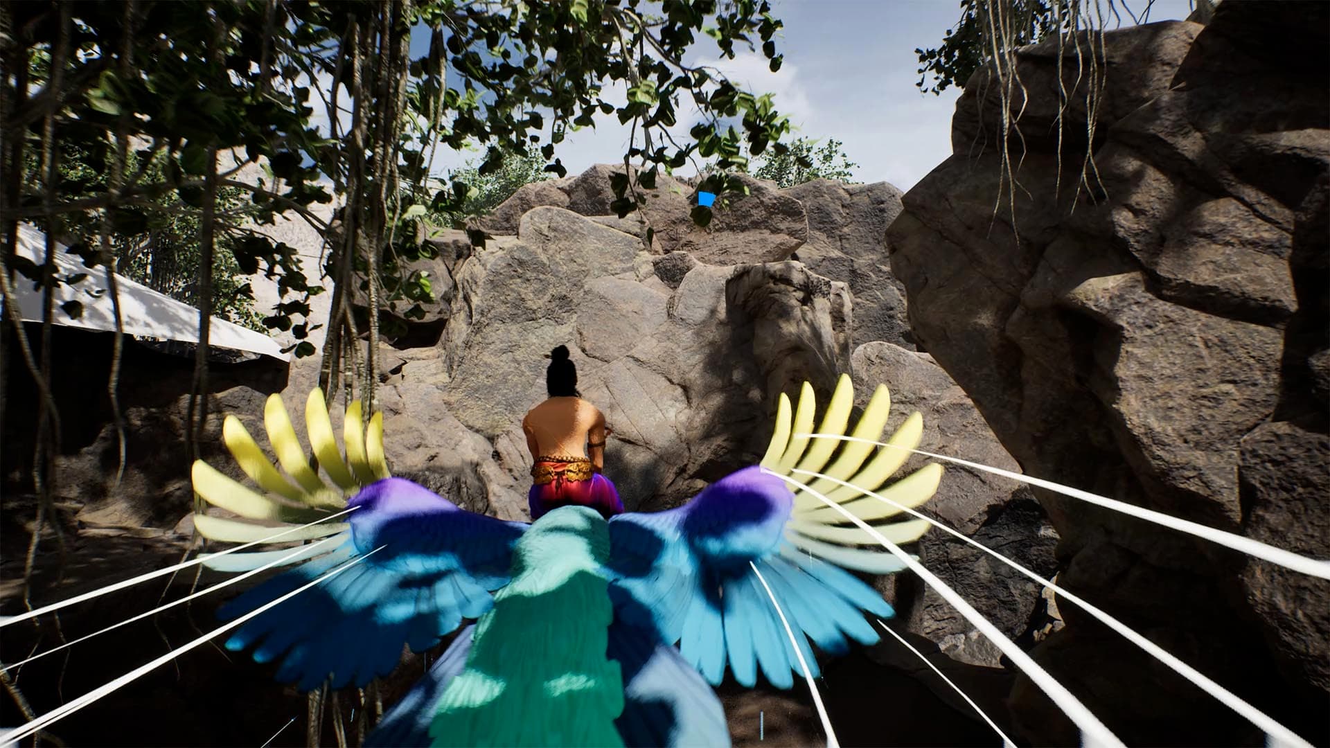 Peacock Flight